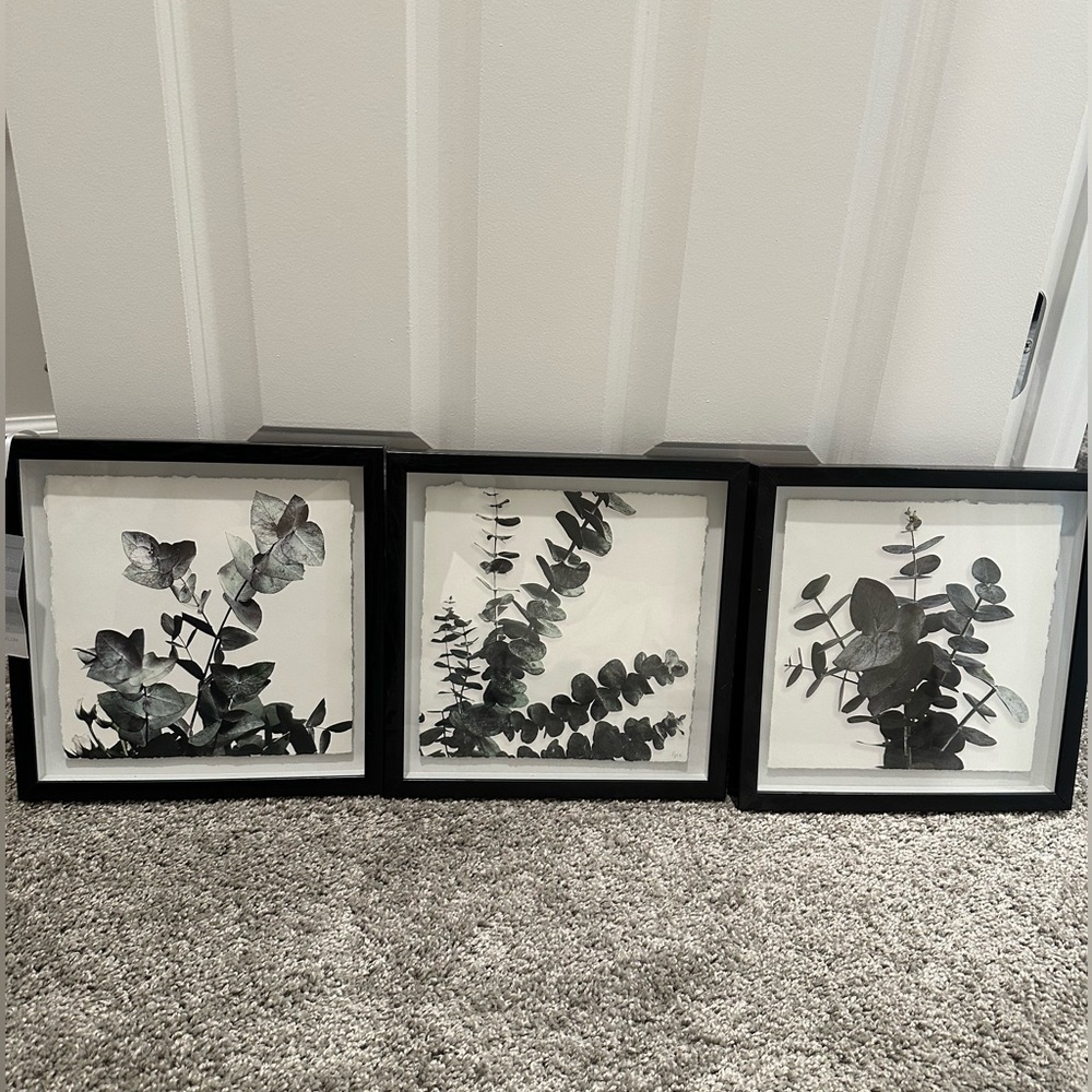 Modern Framed Green Wall Art Leafs Canvas Wall Art,Botanical set of 3
